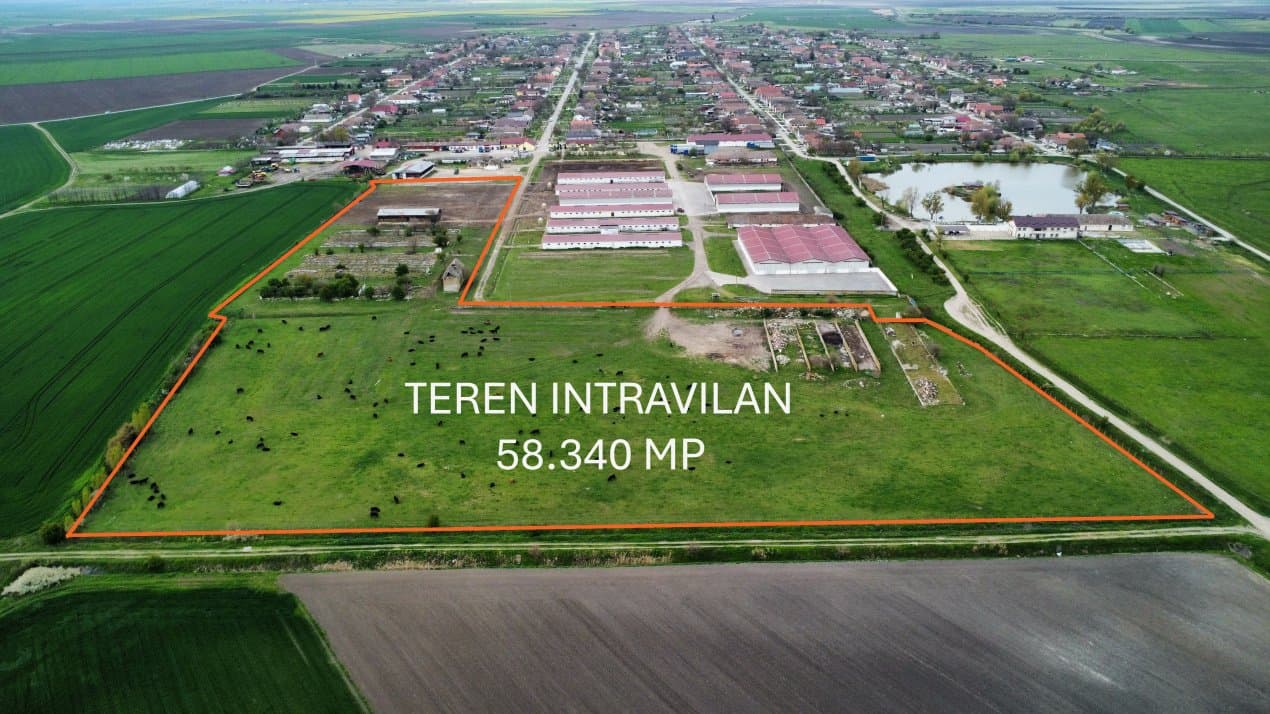 Teren intravilan cu suprafata de 58.340 mp, in Sanmartinul Sarbesc